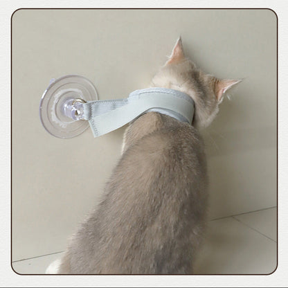 Collare da Bagno con Ventosa per Gatti