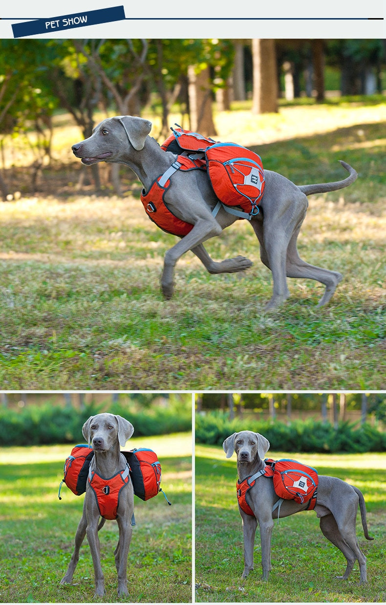 Zaino per Cani