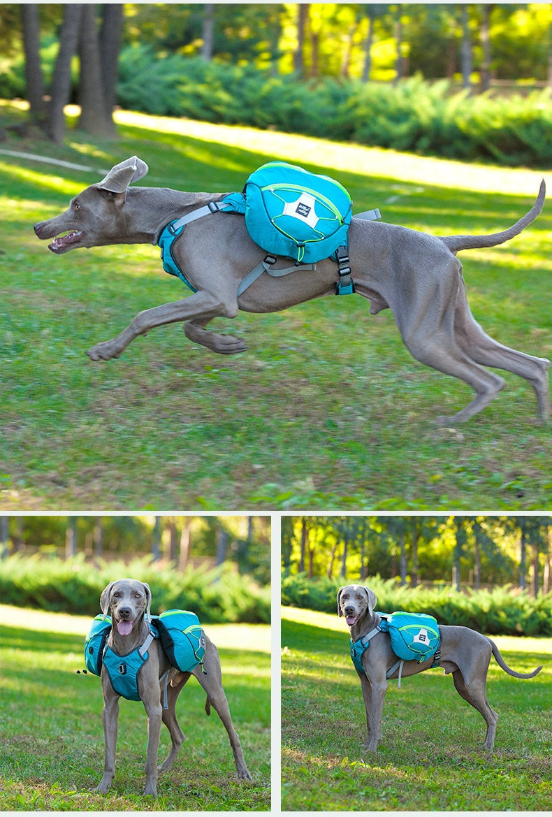 Zaino per Cani