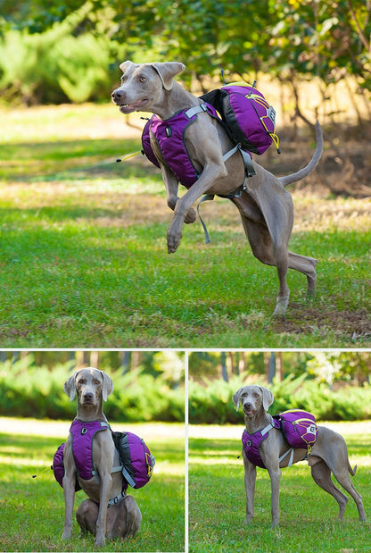 Zaino per Cani