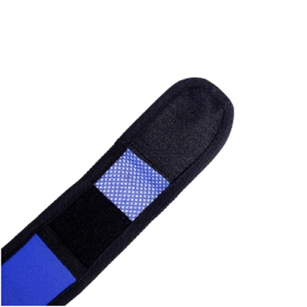 Pettorina Rinfrescante per Cani