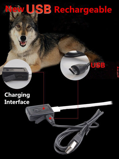 Collare notturno LED per Cani Ricaricabile USB