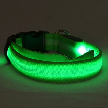 Collare notturno LED per Cani Ricaricabile USB