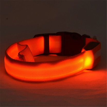 Collare notturno LED per Cani Ricaricabile USB