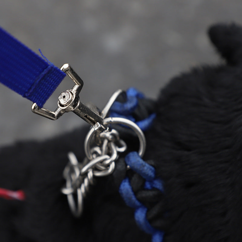Guinzaglio con Borraccia e Ciotola Integrata per Cani