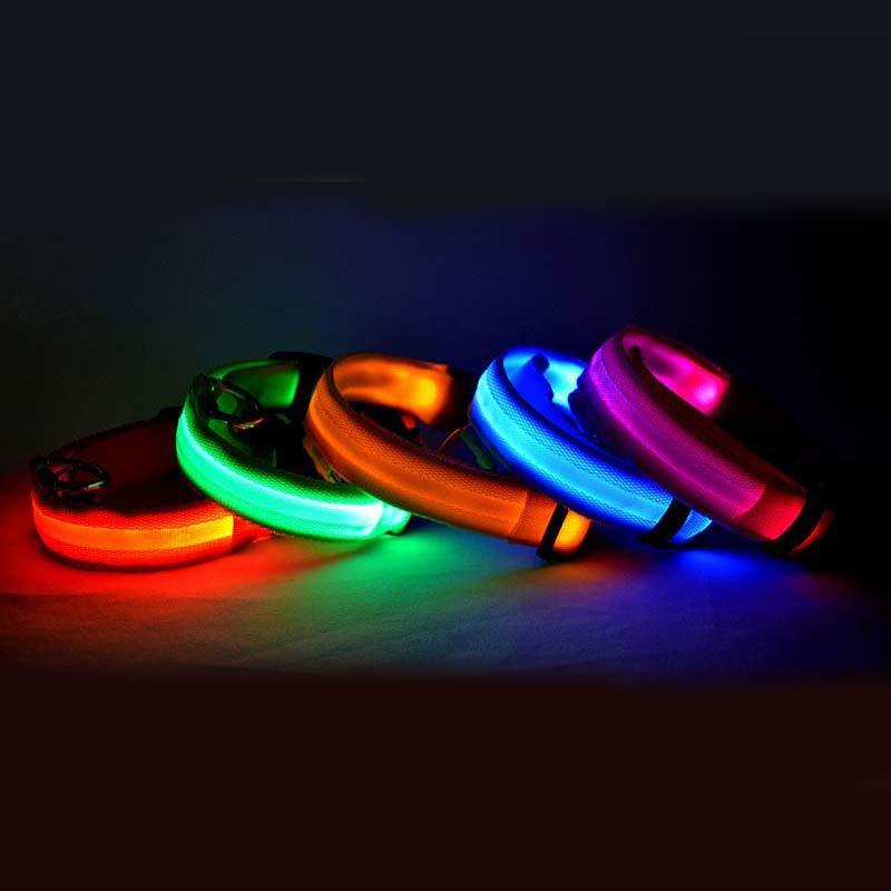 Collare notturno LED per Cani Ricaricabile USB