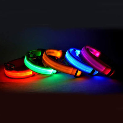 Collare notturno LED per Cani Ricaricabile USB