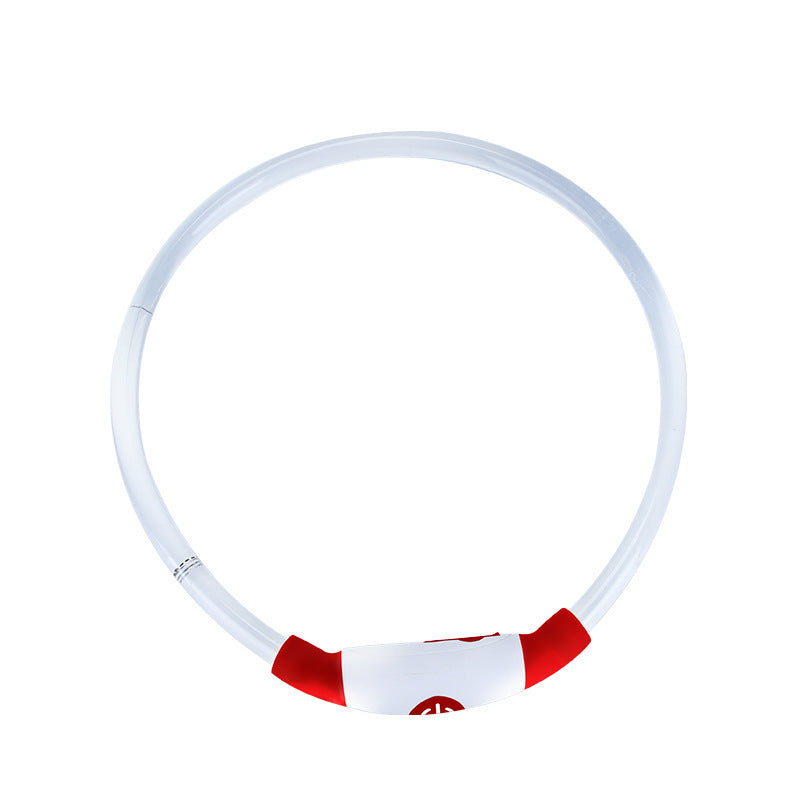 Collare notturno per Cani a LED Ricaricabile USB