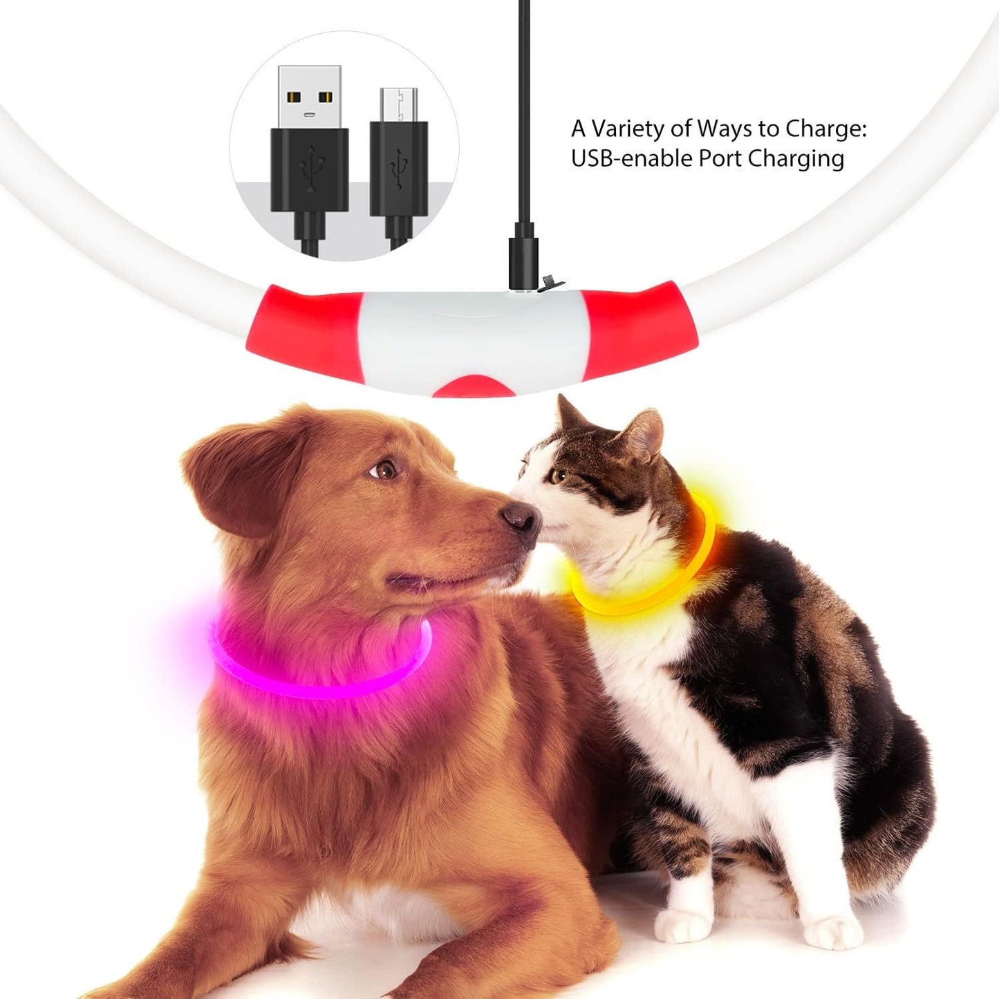 Collare notturno per Cani a LED Ricaricabile USB