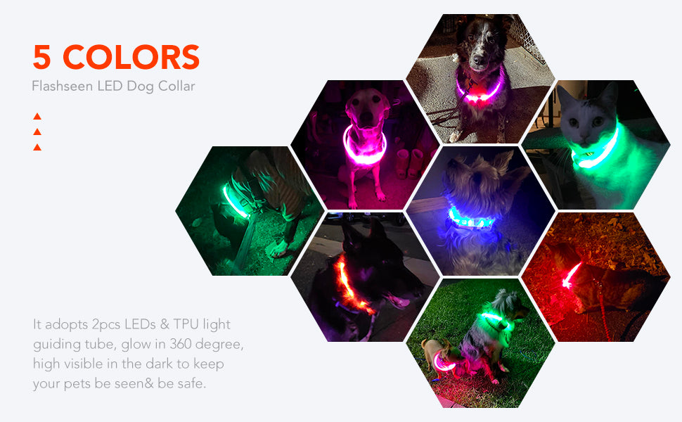 Collare notturno per Cani a LED Ricaricabile USB