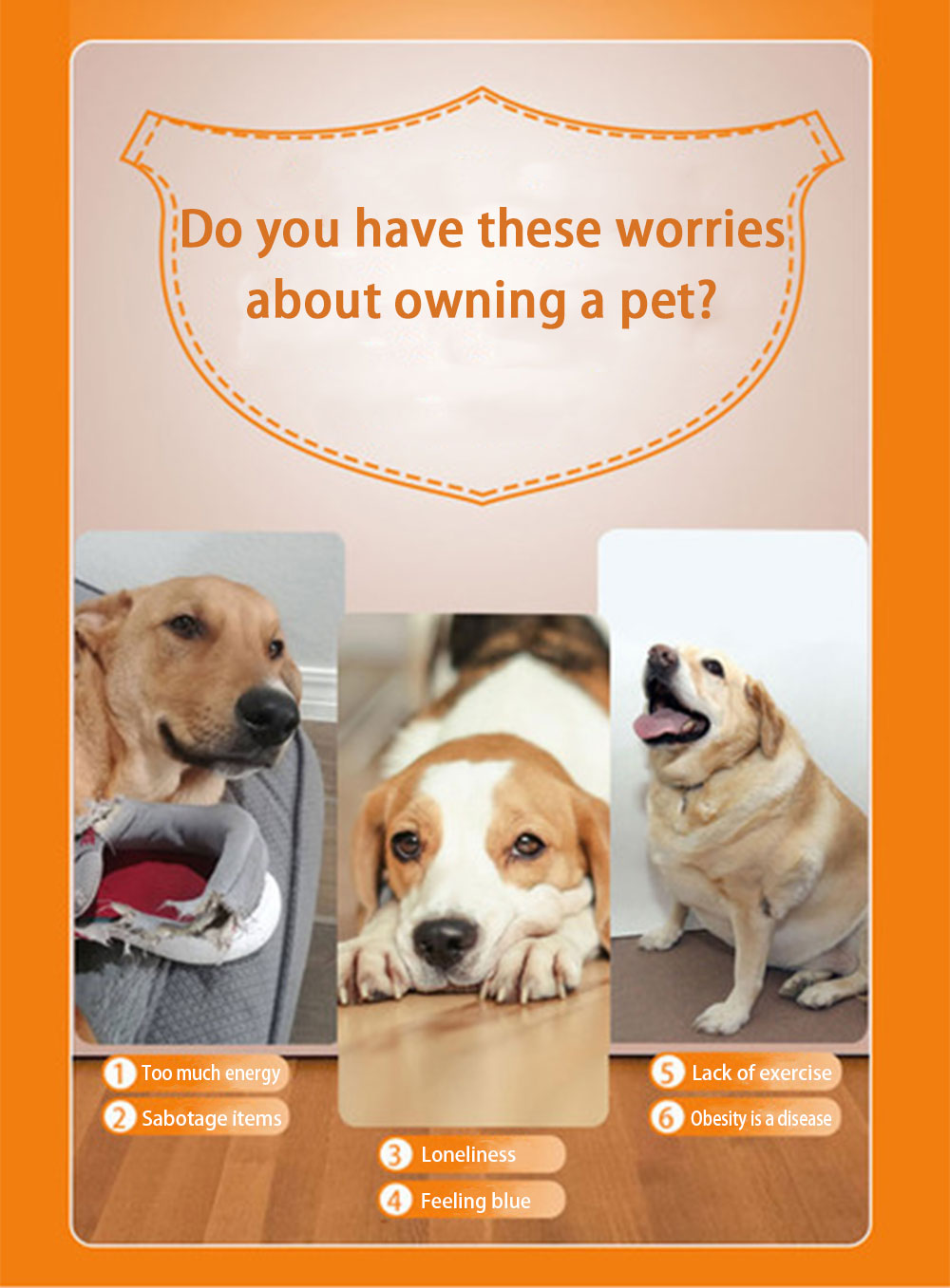 Macchina Lancia Palline Automatica per Cani