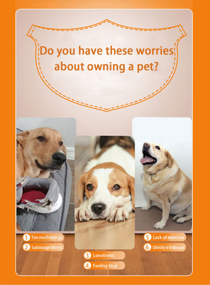 Macchina Lancia Palline Automatica per Cani