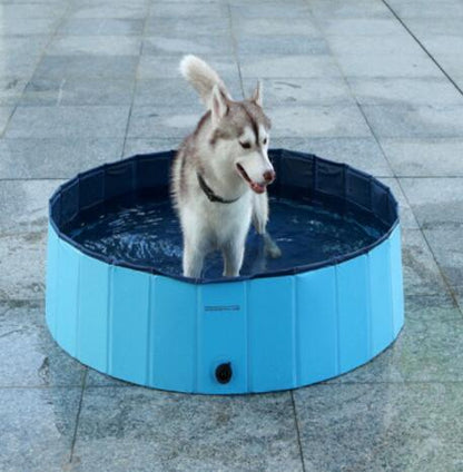 Piscina Pieghevole per Cani di Taglia Grande