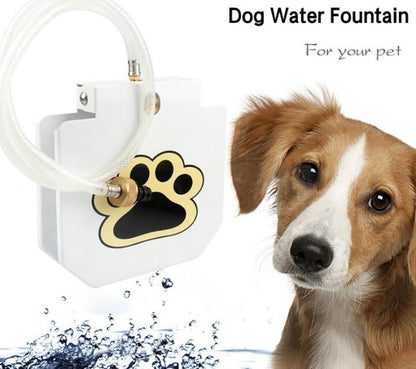 Fontana d'Acqua per Cani da Esterno