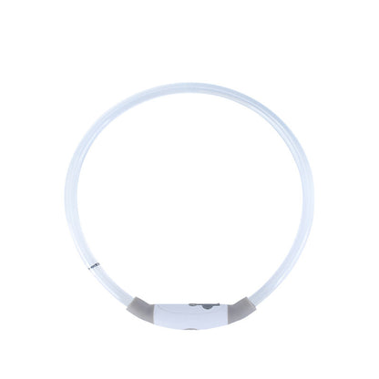 Collare notturno per Cani a LED Ricaricabile USB