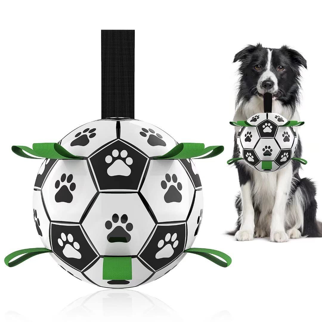 Pallone Interattivo per Cani