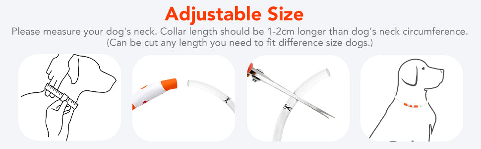 Collare notturno per Cani a LED Ricaricabile USB