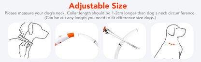 Collare notturno per Cani a LED Ricaricabile USB