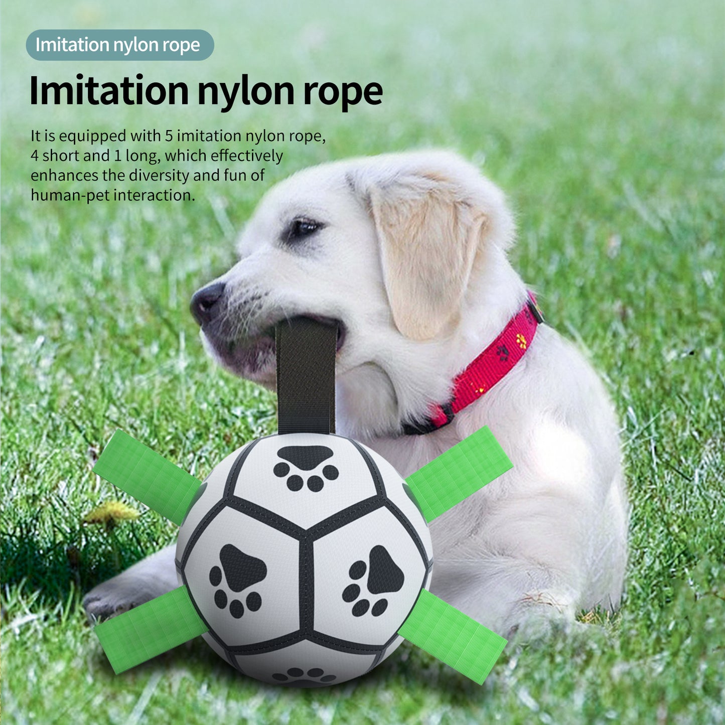 Pallone Interattivo per Cani