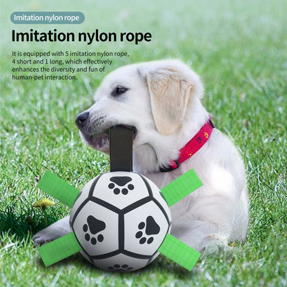 Pallone Interattivo per Cani