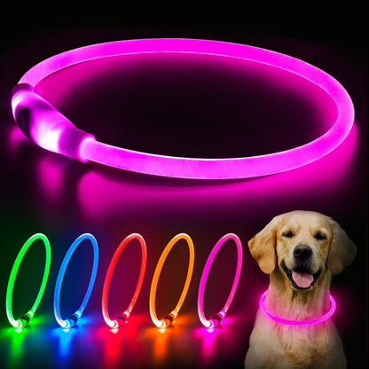 Collare notturno per Cani a LED Ricaricabile USB