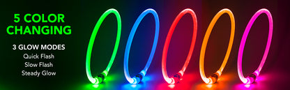 Collare notturno per Cani a LED Ricaricabile USB