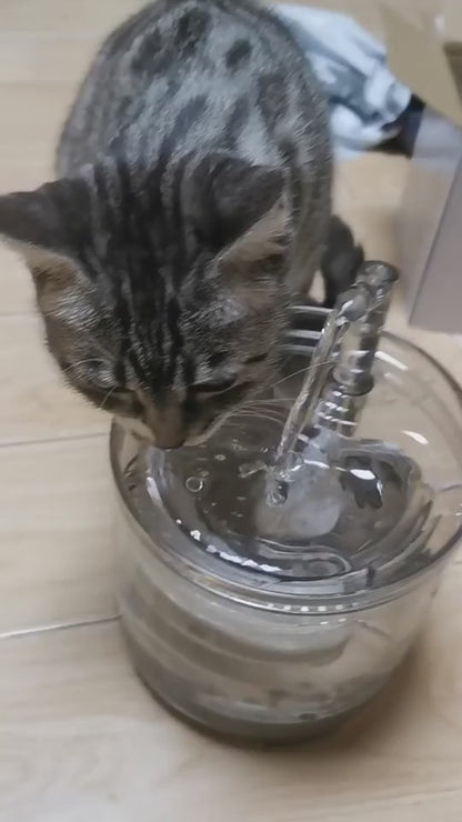 Fontana d'Acqua Automatica a Circolazione