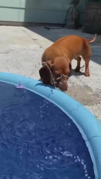 Tappeto Piscina Antiscivolo per Bambini e Animali